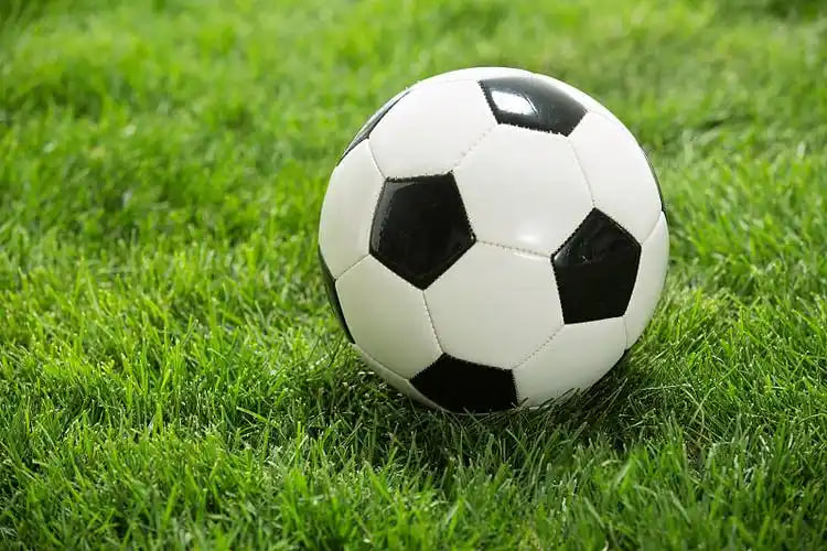 雷速体育多平台下载示意图